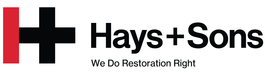 Hays and Sons Careers